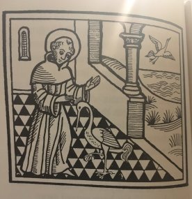 42087822_10155385174496403_1688679569105616896_o