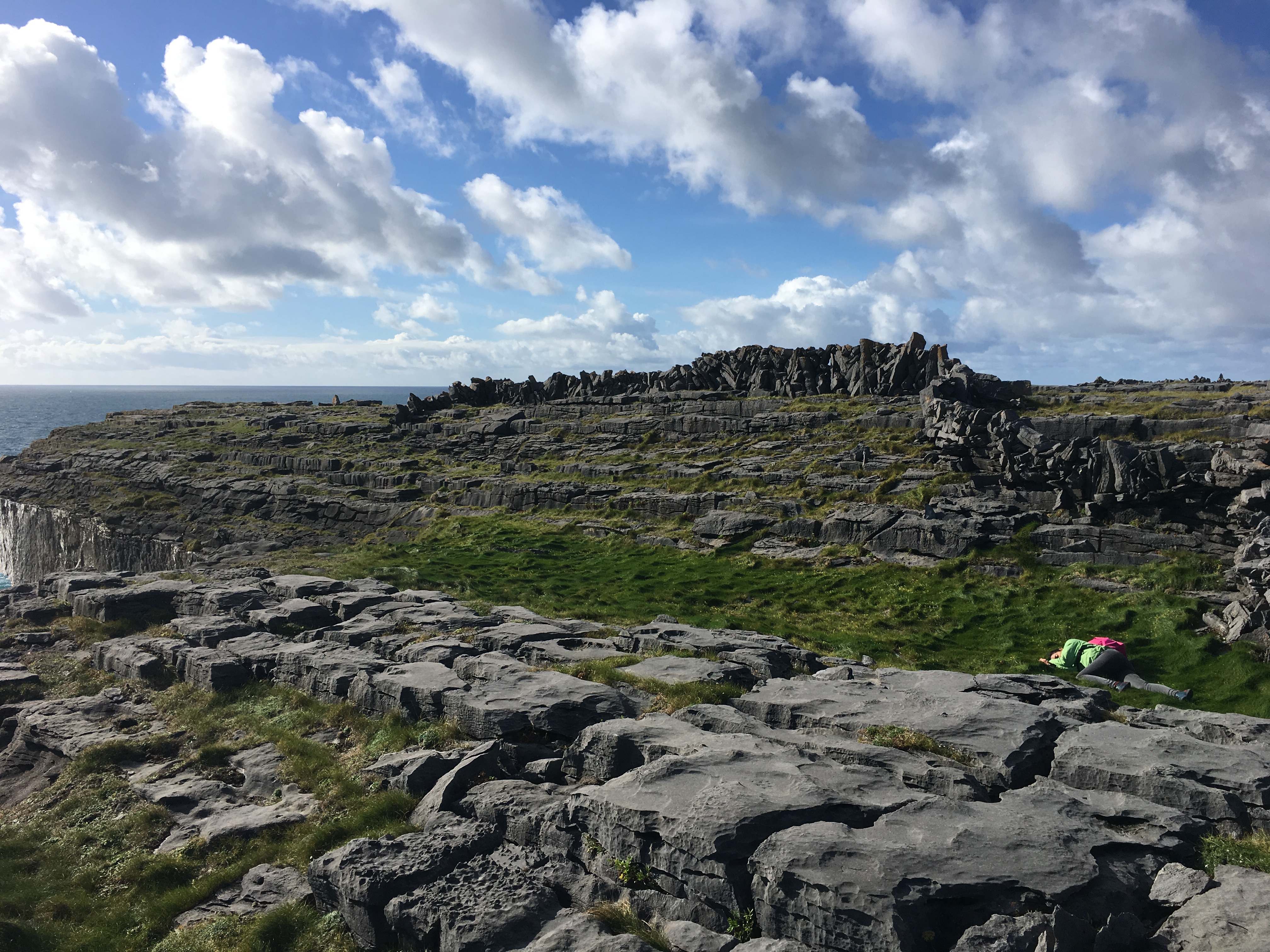 50789990_2490728697610234_1642991948983697408_n